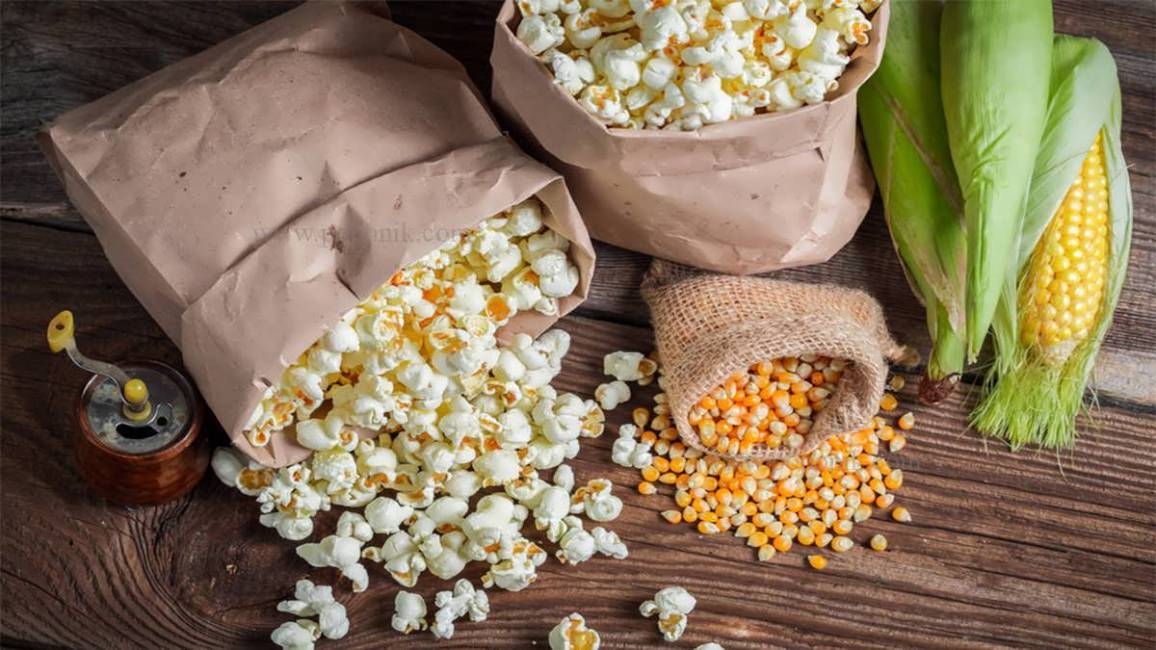 🌽 بررسی و تحلیل نماد ذرت (Corn) در فارکس 🌽